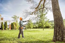 Best Seasonal Cleanup (Spring/Fall)  in Granite Falls, WA