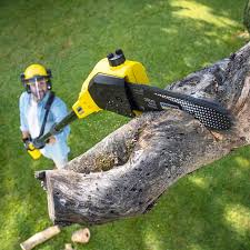 Best Commercial Tree Services  in Granite Falls, WA
