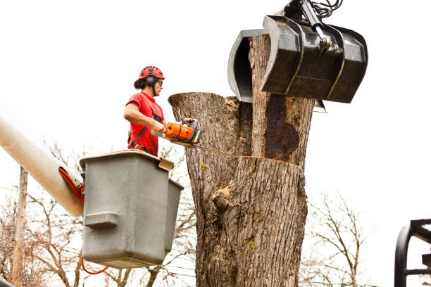Best Soil Testing and Treatment  in Granite Falls, WA